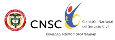 LogoCNSC Accesible